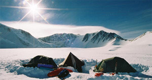 vinson004.jpg