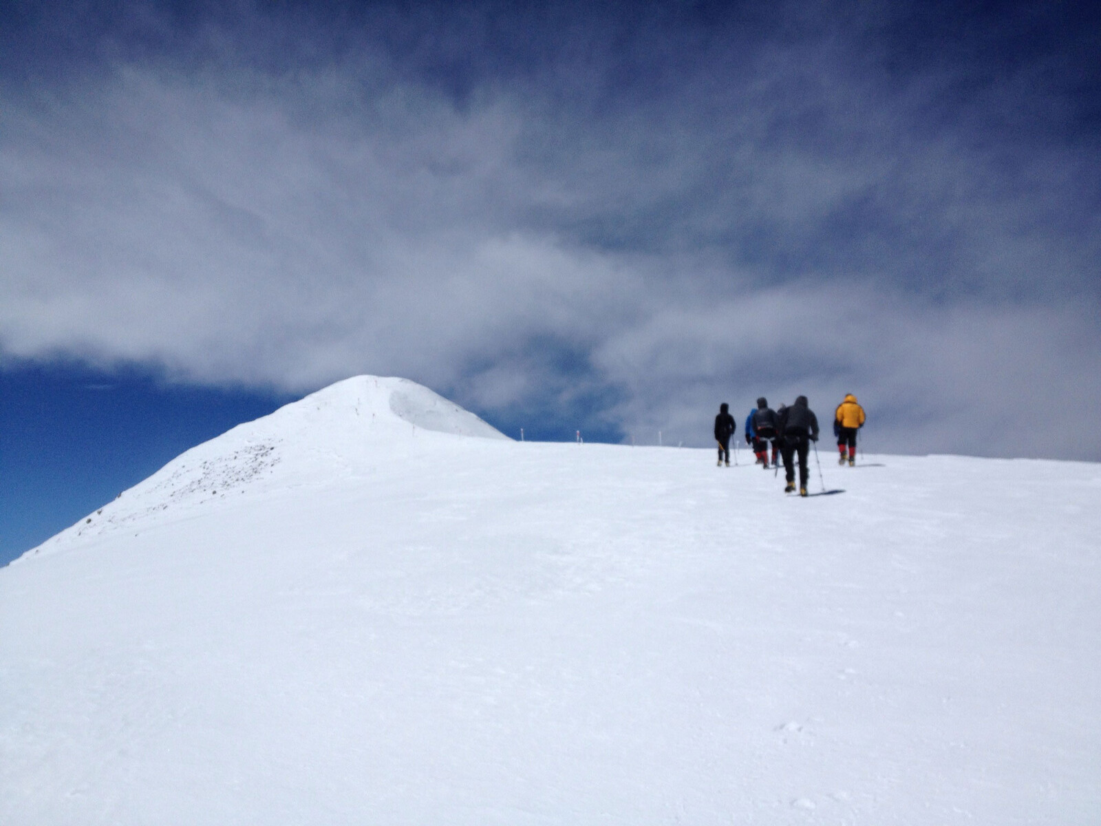 elbrus-dbeard-4