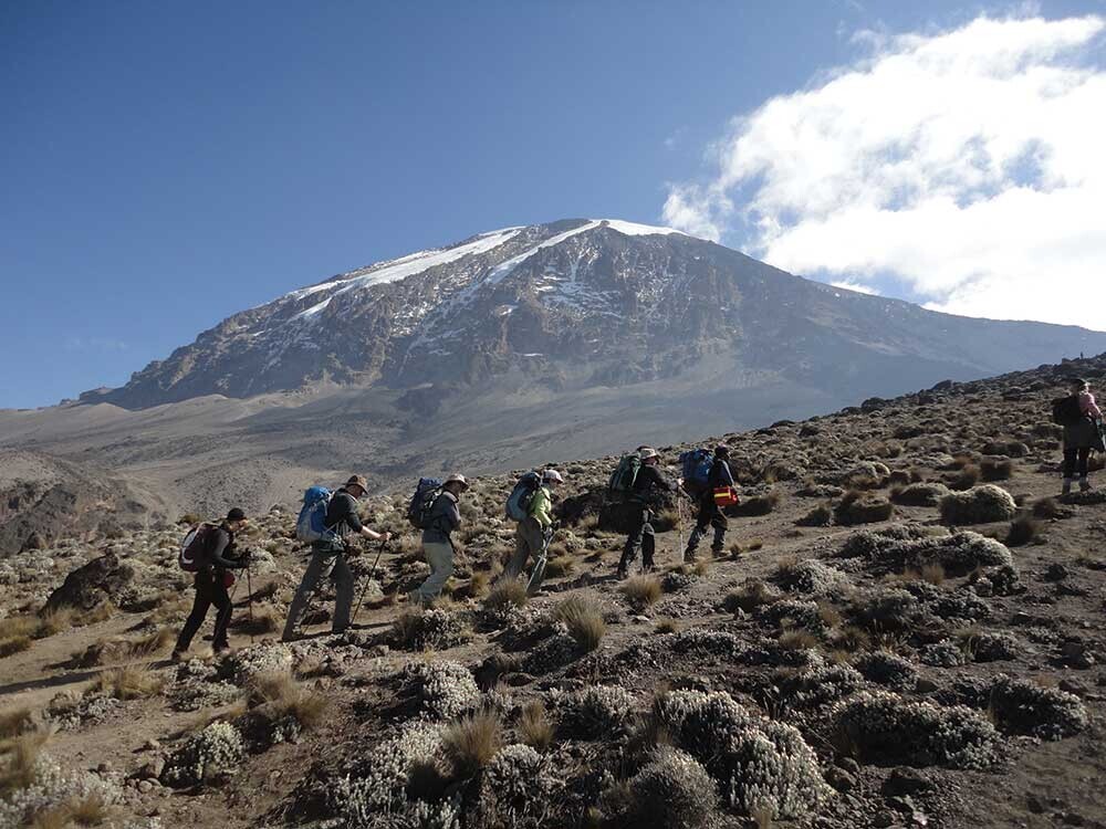 Mount Kilimanjaro Lemosho route
