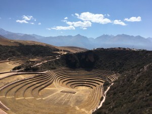 IMG_4105