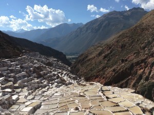 IMG_4135
