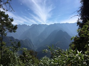 IMG_4315