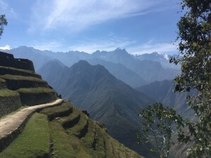 IMG_4322