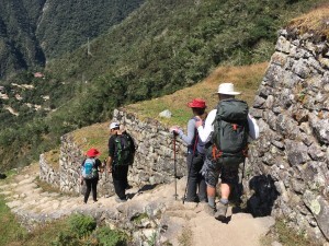 IMG_4331