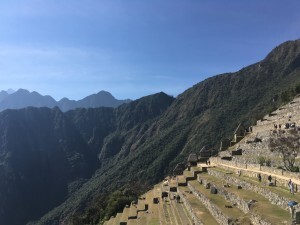 IMG_4471