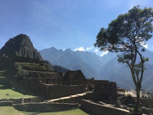 IMG_4479