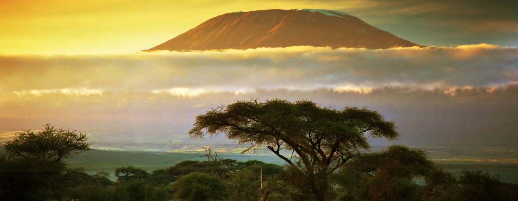 Climb Mount Kilimanjaro Machame Route