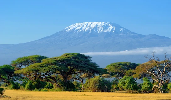 Climb Mount Kilimanjaro Rongai Route