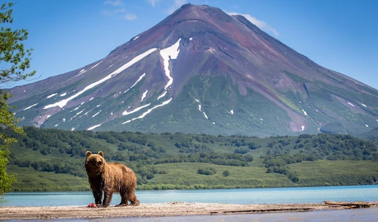 Kamchatka