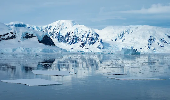 Discover Antarctica
