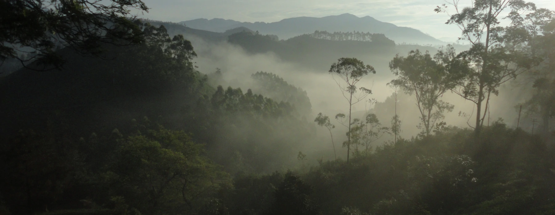 South India Trekking - The Western Ghats