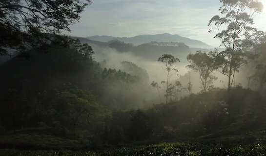 South India Trekking - The Western Ghats