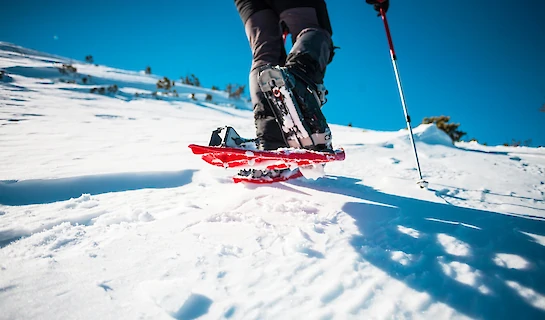 Snowshoeing in Bulgaria