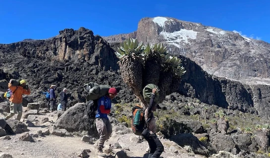 Climb Mount Kilimanjaro - Northern Circuit Route